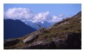 Spedisci la cartolina "Stambecco al Gran Paradiso"