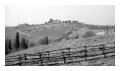 Spedisci la cartolina "Colline toscane"