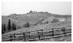 Colline toscane