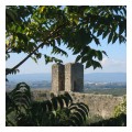 Spedisci la cartolina "Lungo le mura di Monteriggioni"