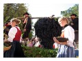 Spedisci la cartolina "La tradizionale festa dell'uva a Merano"