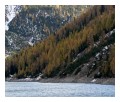 Spedisci la cartolina "Autunno sul lago del Gallo"