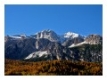 Spedisci la cartolina "Larici autunnali a Cortina e prima neve sulla Tofana"