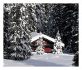 Spedisci la cartolina "Baita e abeti sotto la neve a monte San Vigilio"