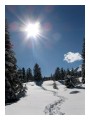 Spedisci la cartolina "Godersi una giornata di sole in montagna"