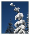 Spedisci la cartolina "Nevicata invernale"