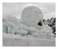 Spedisci la cartolina "Nuotare nella neve"