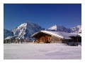 Spedisci la cartolina "Solda: il panorama dal rifugio Madriccio"