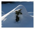 Spedisci la cartolina "Sotto una montagna di neve..."