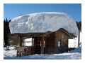 Spedisci la cartolina "Troppa neve sul tetto?"