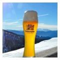 Spedisci la cartolina "Una rinfrescante birra in un assolata giornata invernale"