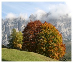 Finalmente autunno sulle Dolomiti