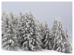 Abbondante nevicata sulle Dolomiti