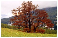 L'autunno si avvicina