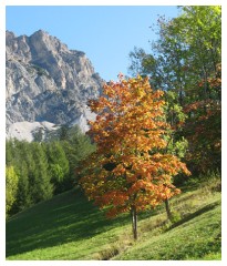 Sta arrivando l'autunno