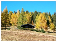 Siamo proprio in autunno