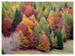 Autunno dolomitico