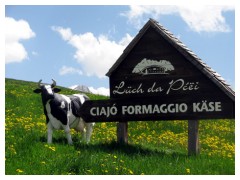 Formaggio delle Dolomiti