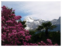 Panorami di Merano