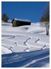 Scie in neve fresca