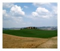 Spedisci la cartolina "Il contrasto giallo verde sulla campagna della Val d'Orcia"