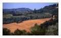 Spedisci la cartolina "Paesaggio Toscano (estivo)"