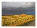 Spedisci la cartolina "Cielo nero e raggi di sole durante un temporale"