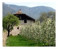 Spedisci la cartolina "Meli in fiore a Merano"