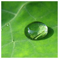 Una goccia d'acqua