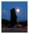 Spedisci la cartolina "Luna piena al Circo Massimo"