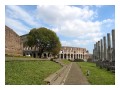 Spedisci la cartolina "Il Colosseo dal Foro Romano"