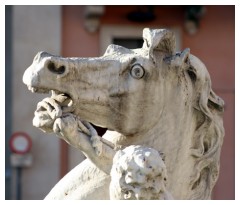 Un cavallo nella fontana