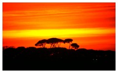 Tramonto africano...