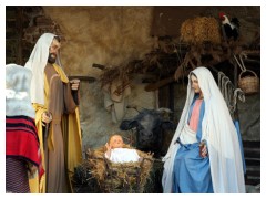 Il presepe di Piazza San Pietro