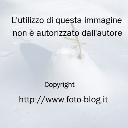 Appena fuori dalla neve