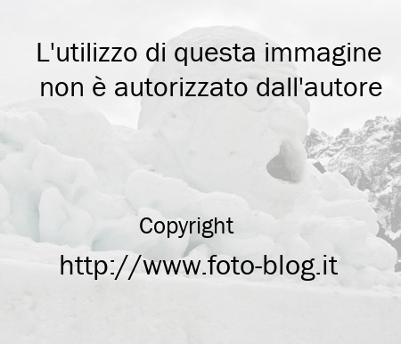 Nuotare nella neve